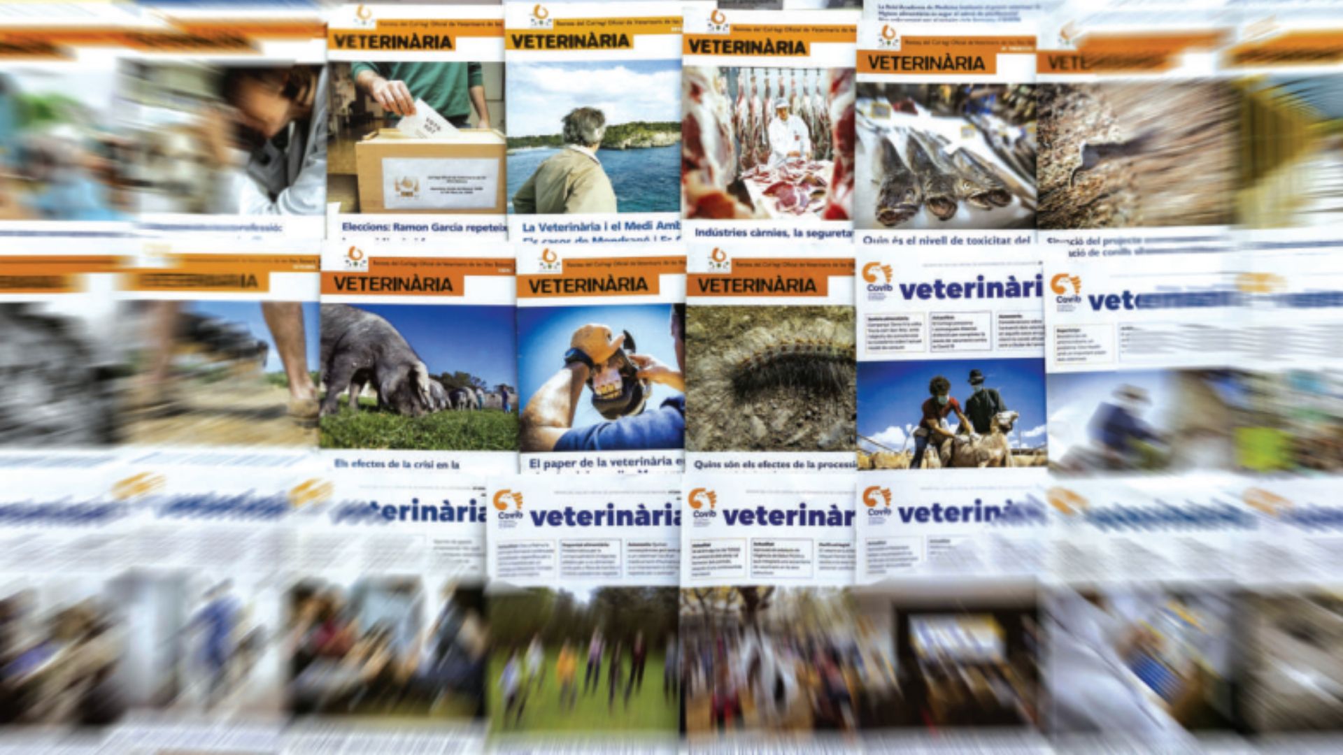 Veterinària nº 100