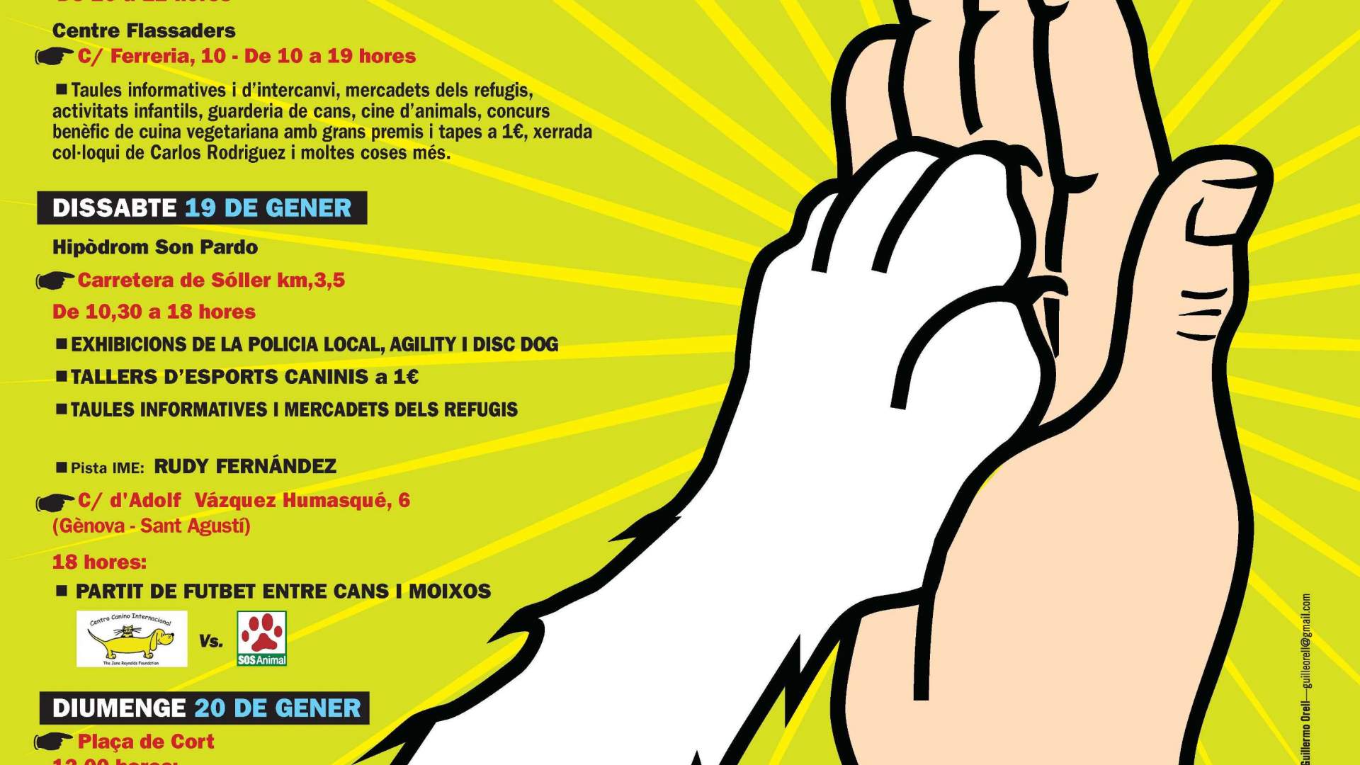 I Diada animalista ?Palma amb els animals?