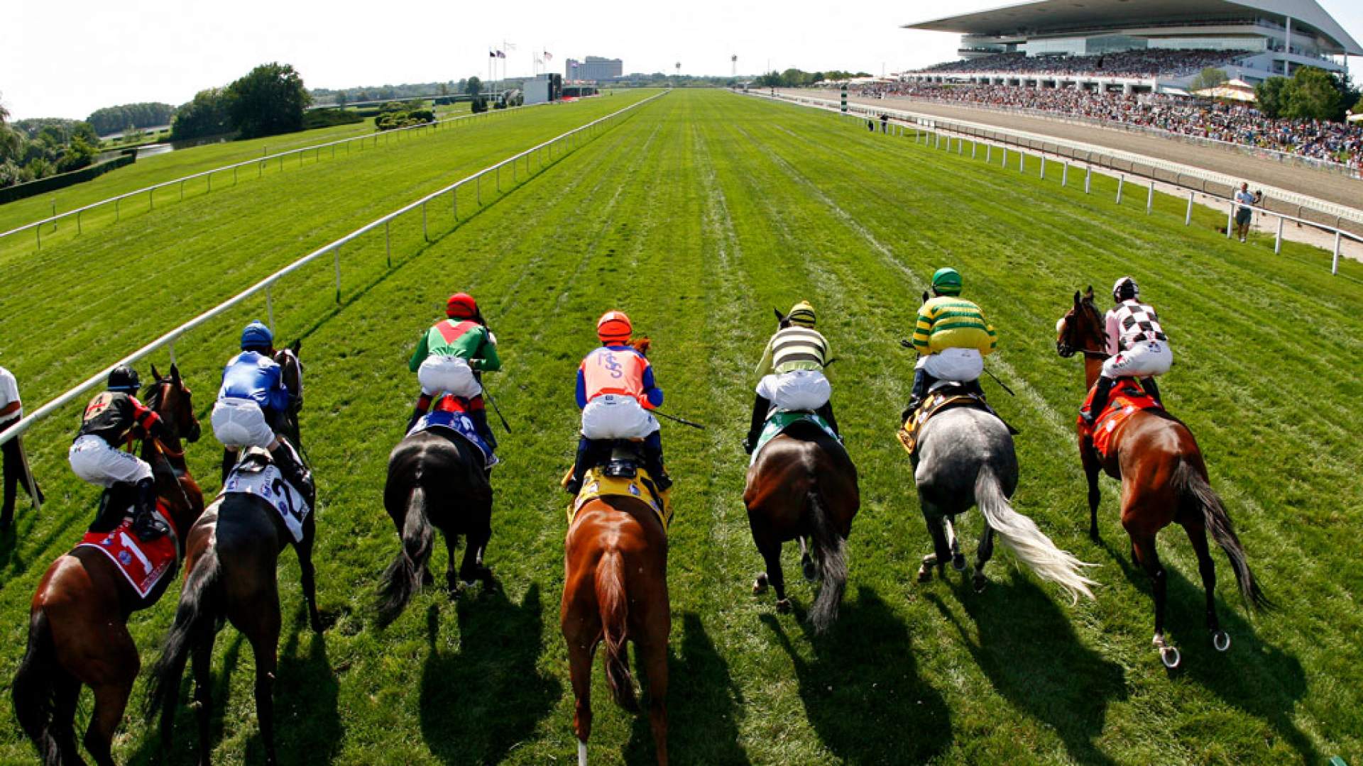 Sector ecuestre: una industria con muchos caballos de potencia