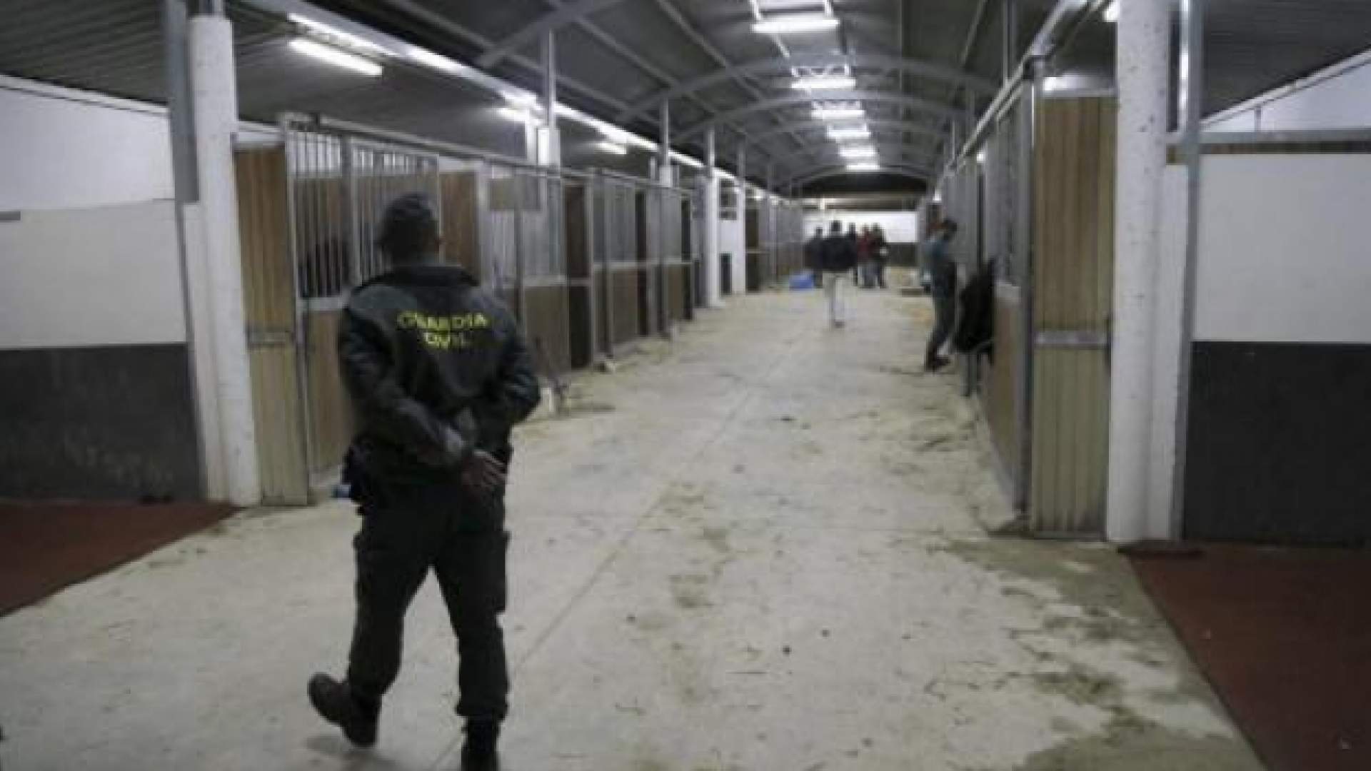 La Guardia Civil detiene a 8 personas en Mallorca relacionadas con el mundo del trote