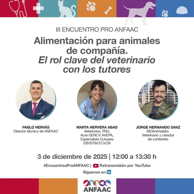 El importante papel del profesional veterinario en la alimentación de animales de compañía