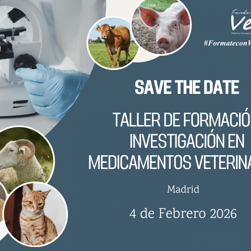 Taller en Investigación en Medicamentos Veterinarios