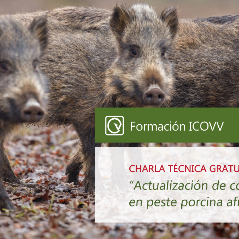 Actualización de conocimientos en PPA