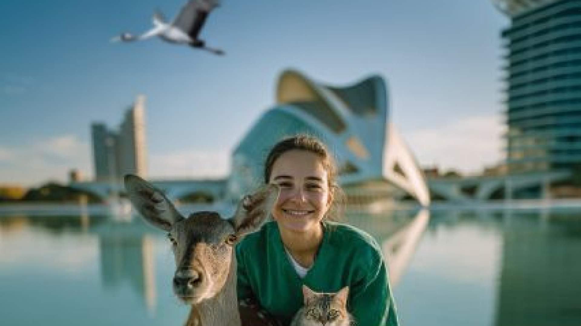 IV Congreso Internacional de Sanidad y Bienestar Animal