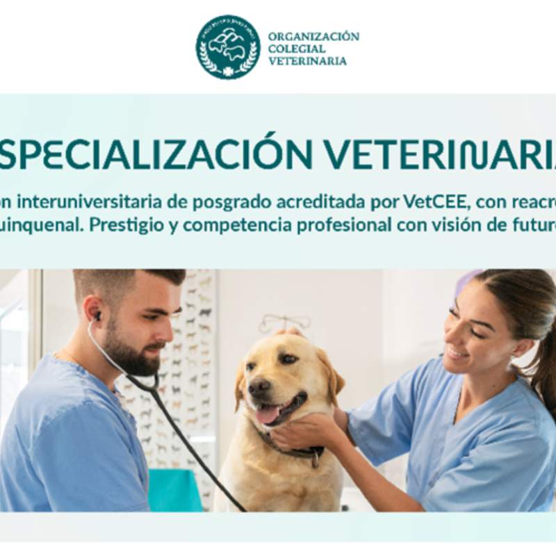 Jornada informativa: proyecto de especialización veterinaria del consejo general de veterinarios (OCV)