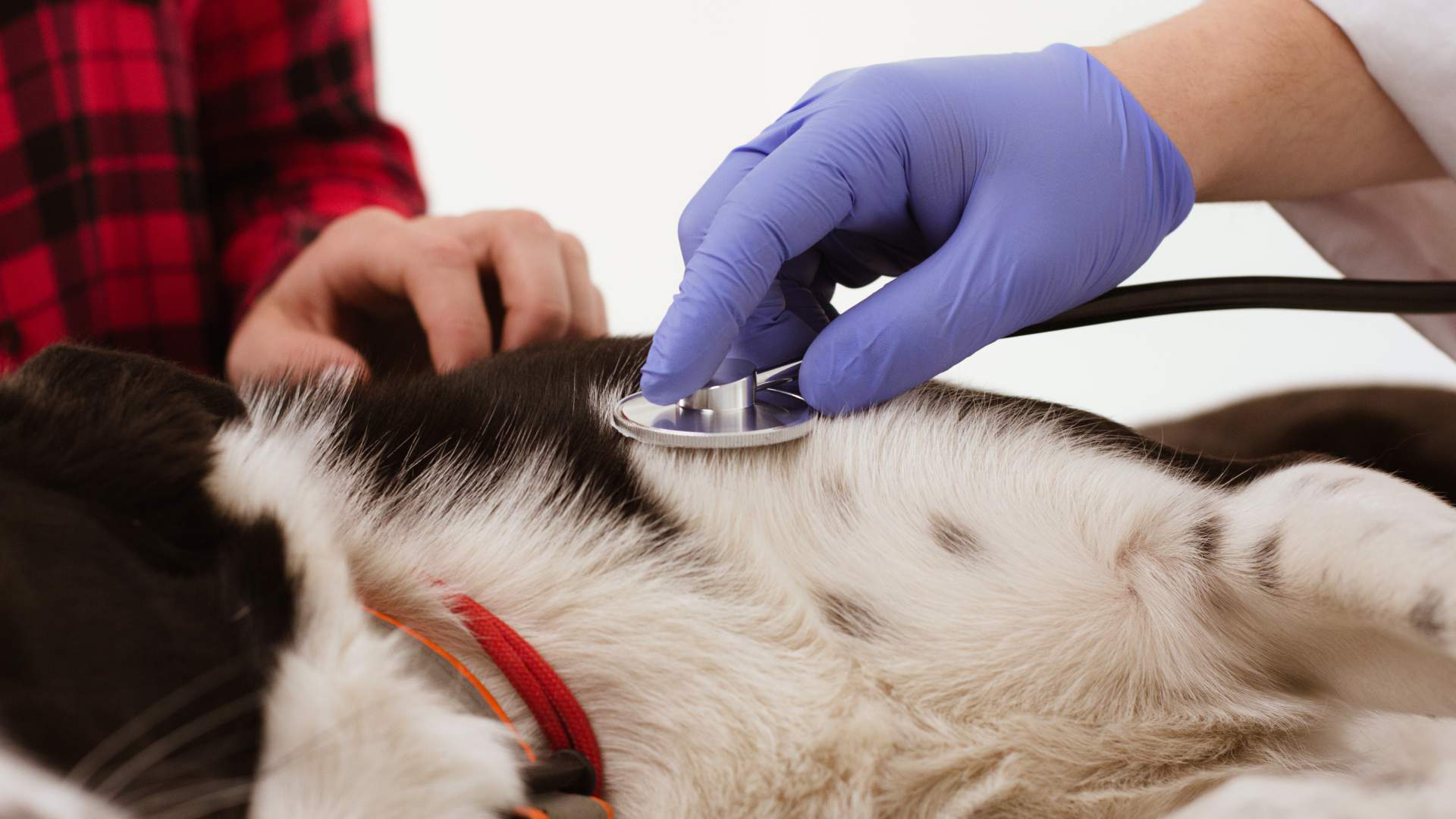 "Xerram de cardiologia amb Jordi López"