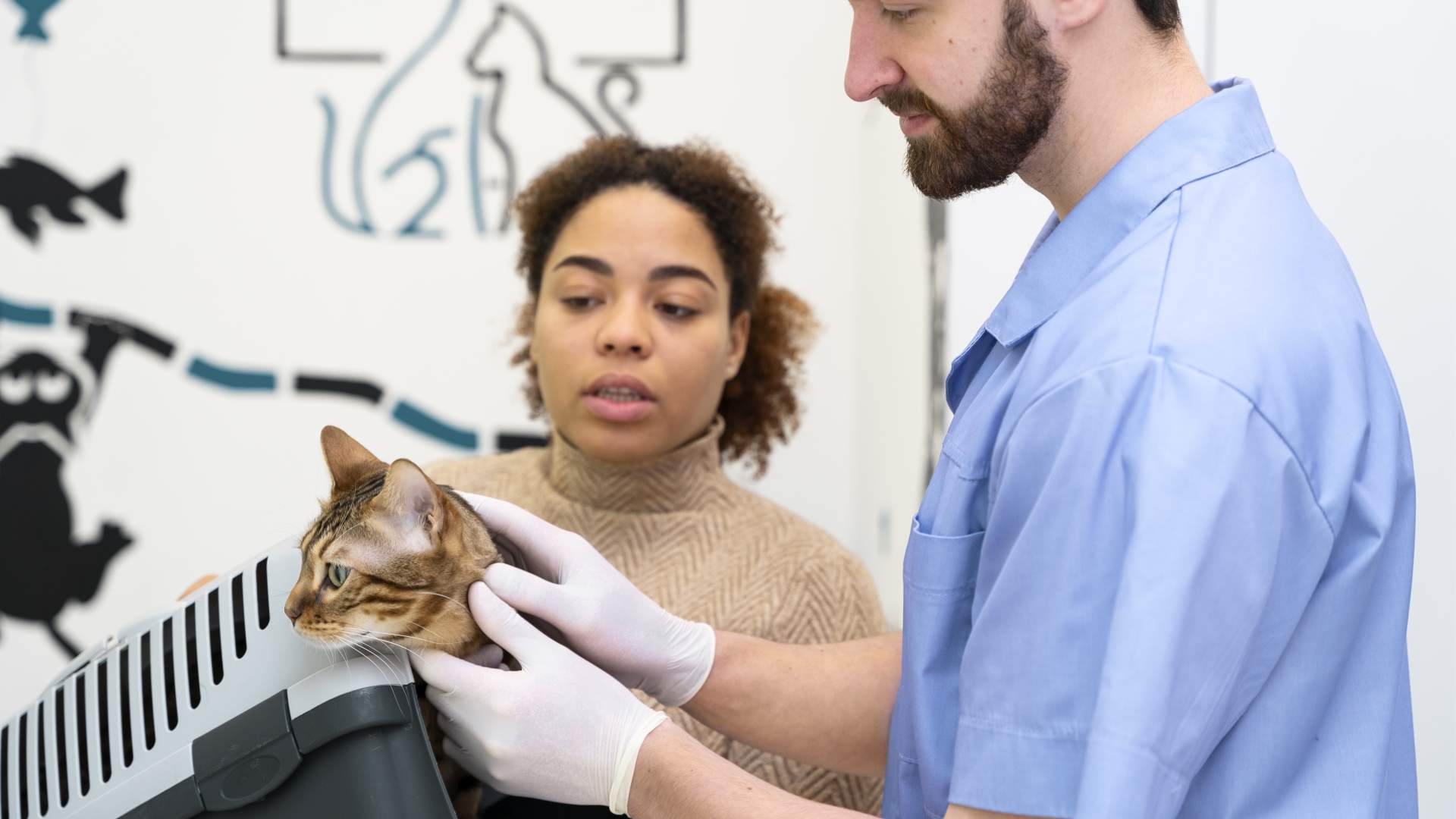 Dermatología Clínica en Pequeños Animales