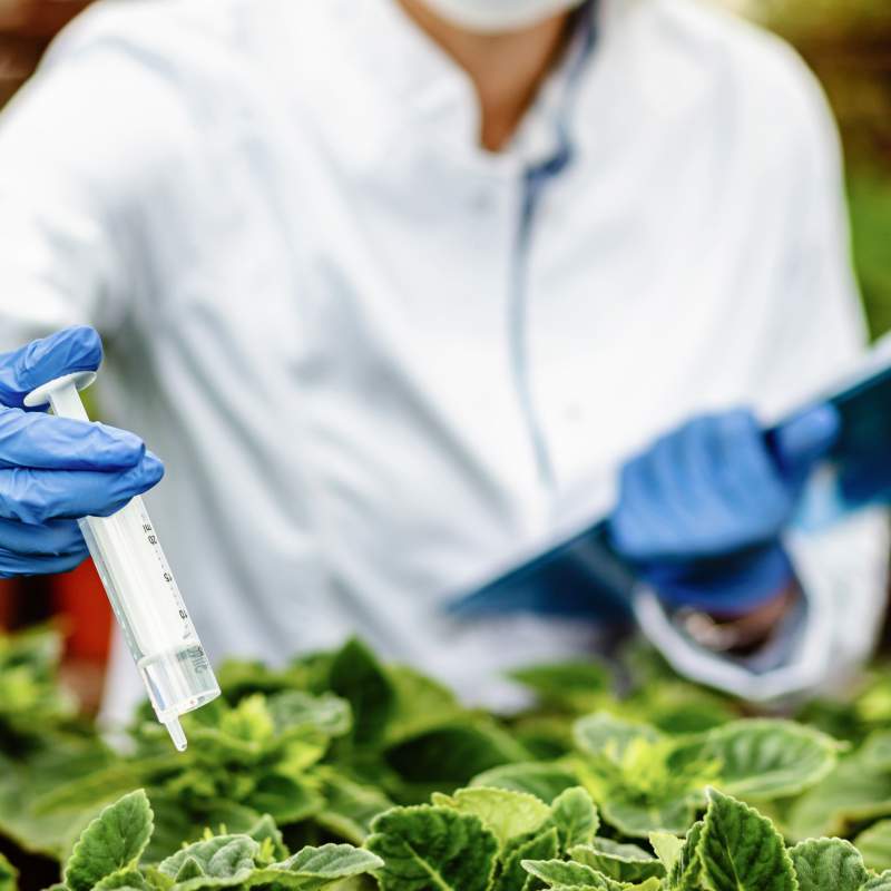 Cursos OnLine de Seguridad y Calidad Alimentaria