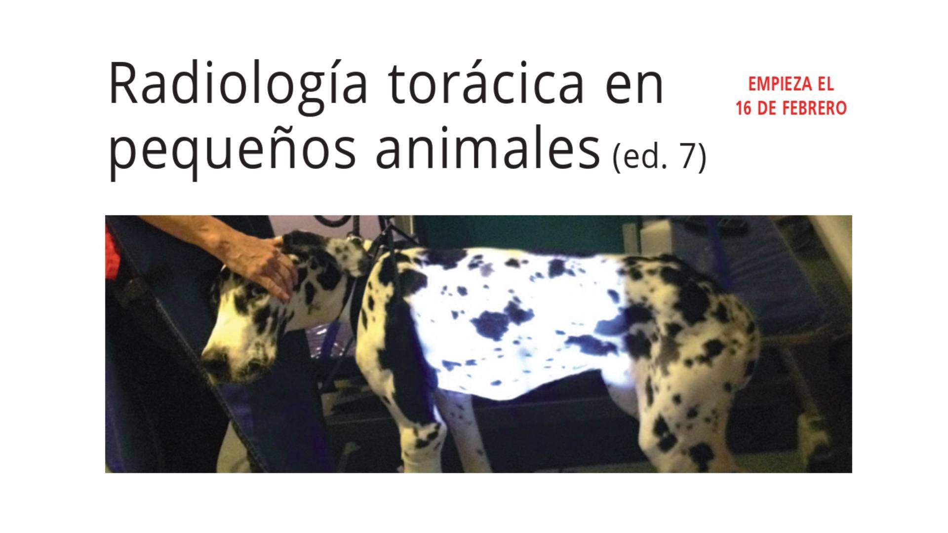Curso de Radiología Torácica en Pequeños Animales