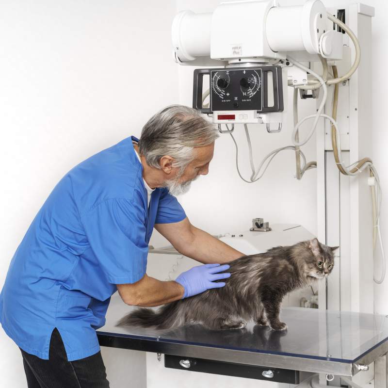 Curso de acreditación de directores de instalaciones de radiodiagnóstico (ACPRO)