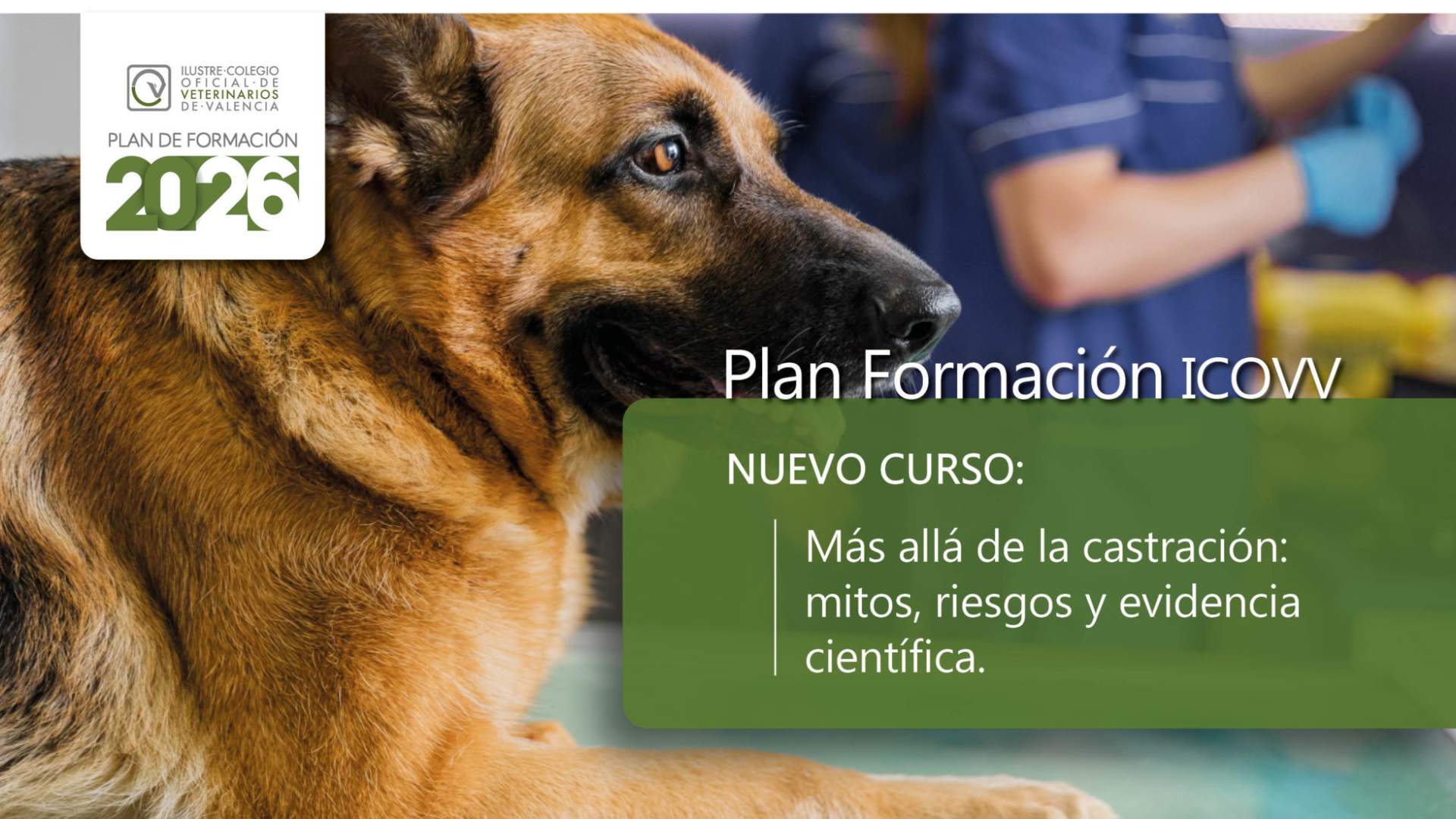 CASTRACIÓN: mitos, riesgos y evidencia científica