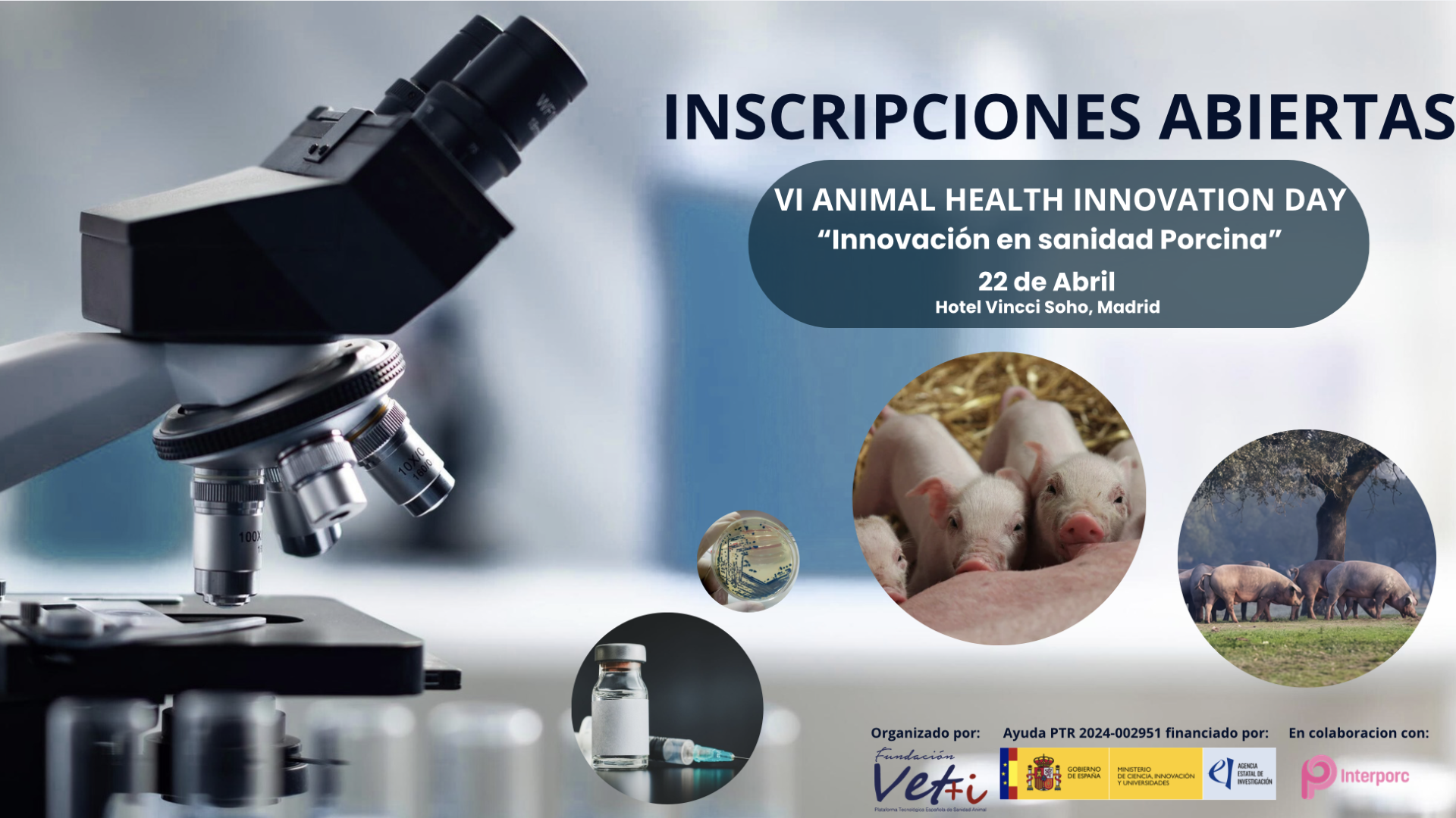 VI Animal Health Innovation Day  “Innovación en sanidad porcina”