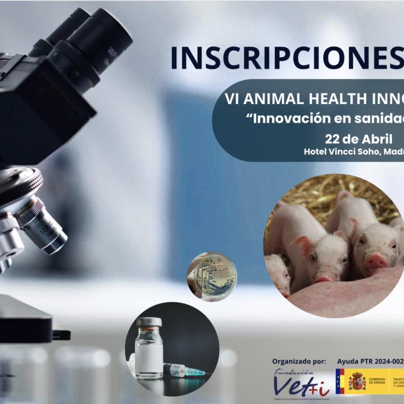 VI Animal Health Innovation Day  “Innovación en sanidad porcina”