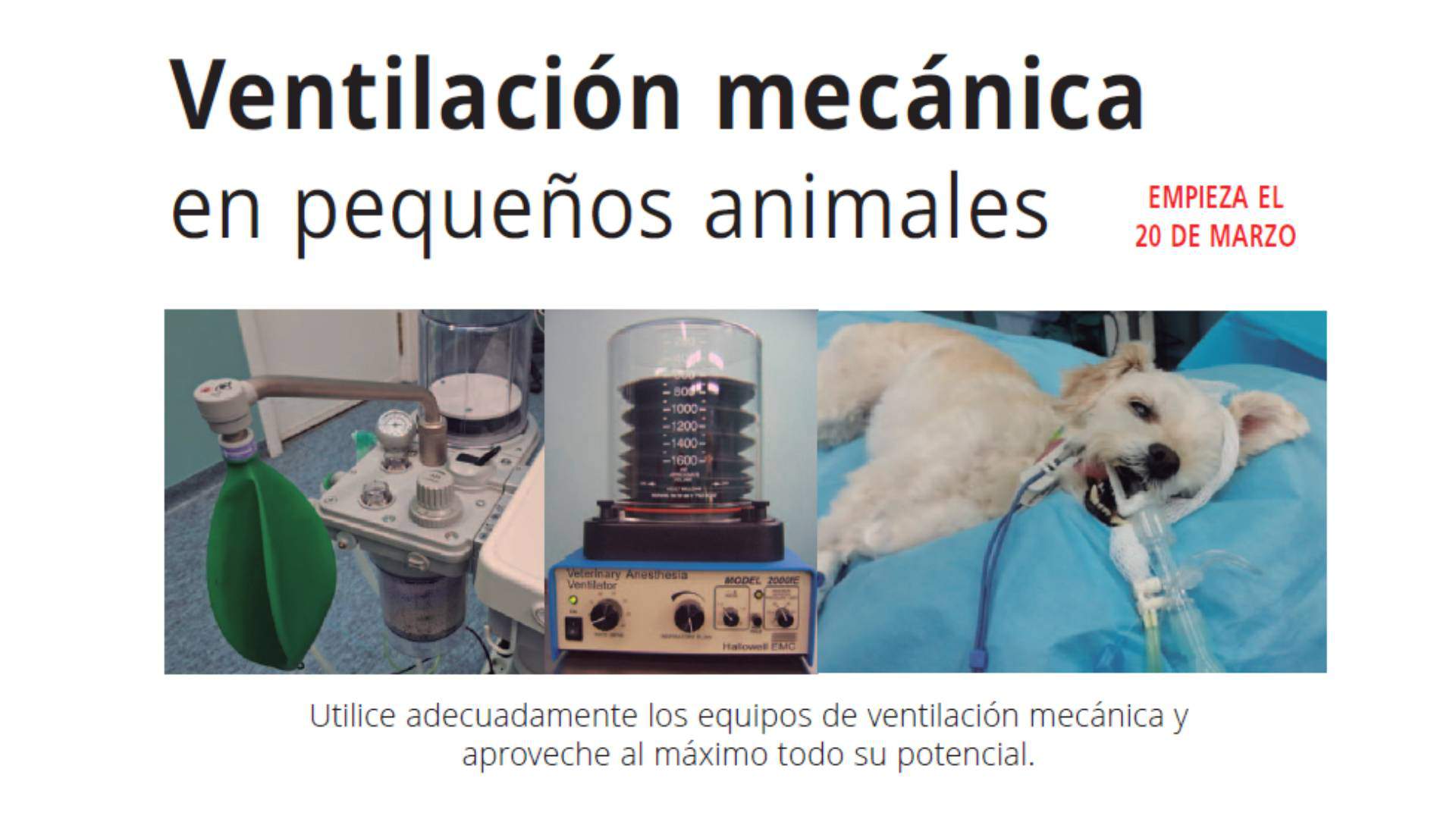 Ventilación mecánica en pequeños animales