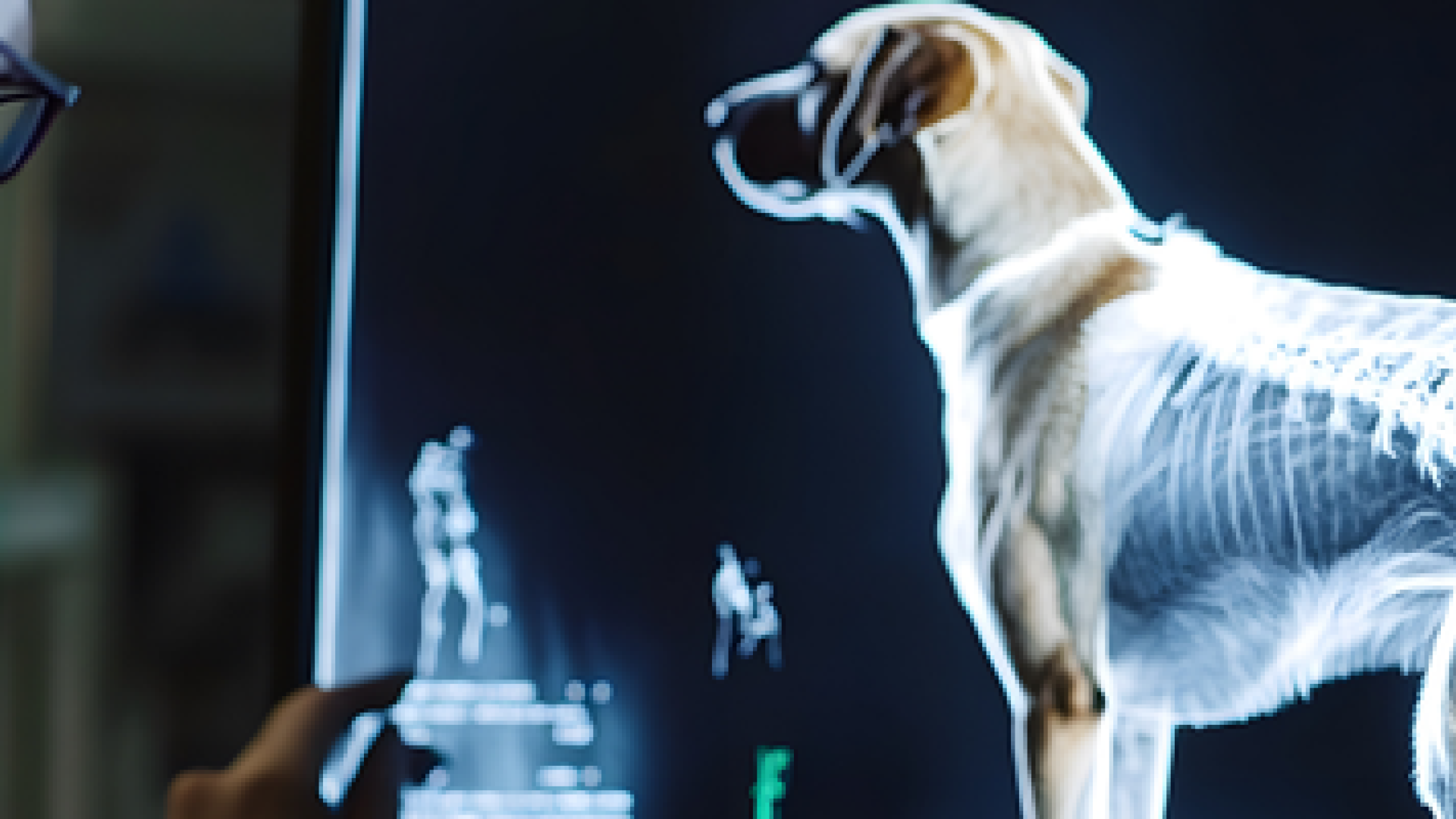 Veterinaria 4.0: aplicaciones de la Inteligencia Artificial en el ámbito de la clínica de pequeños animales