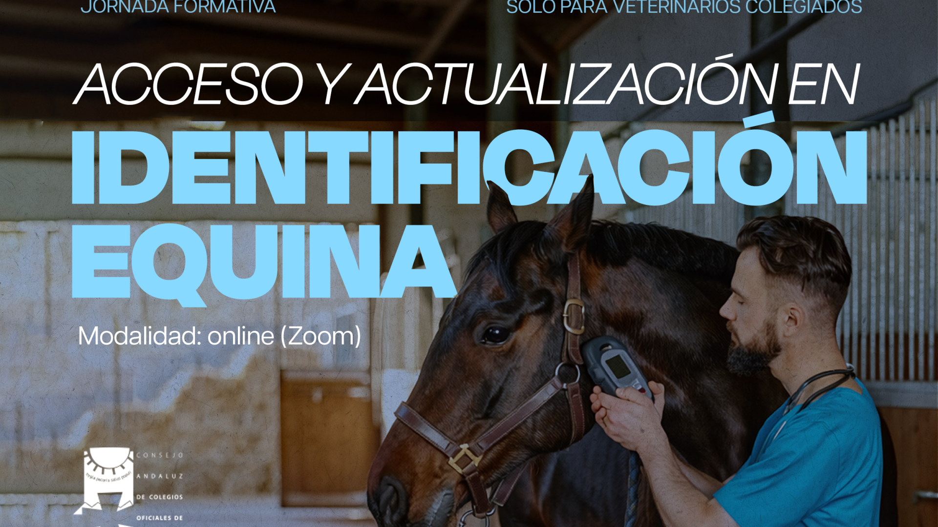 Acceso y Actualización en Identificación Equina