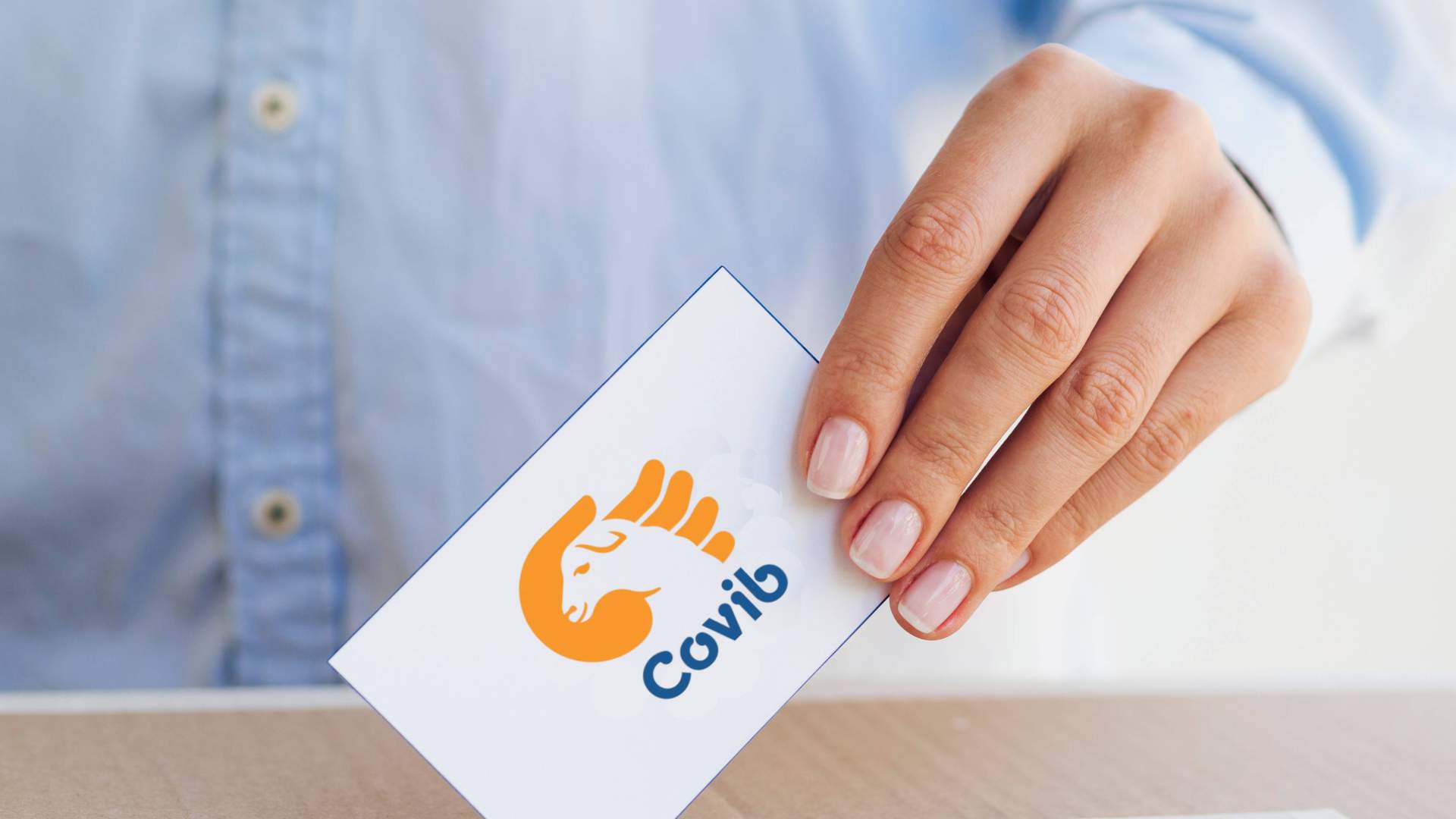 El COVIB convoca elecciones a la Junta de Gobierno