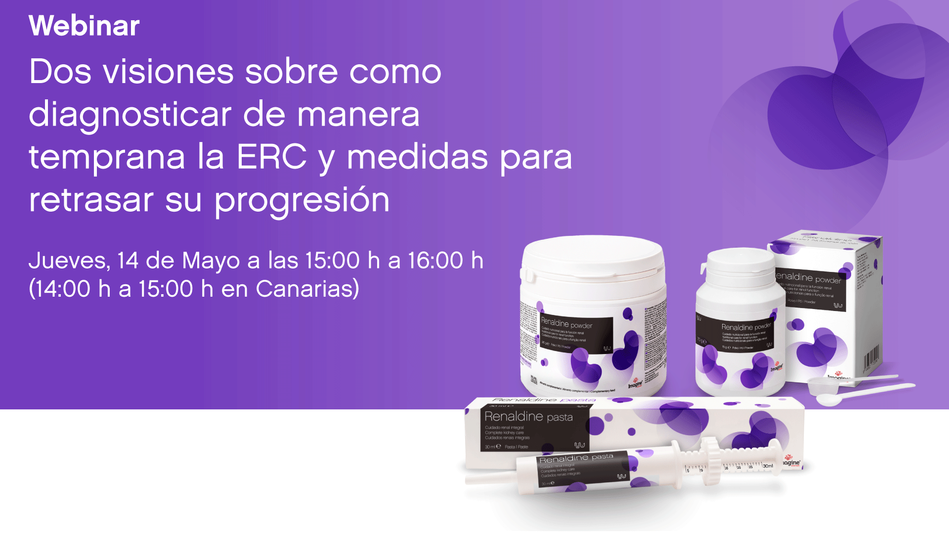 Webinar con Xavier Roura y Oscar Cortadellas