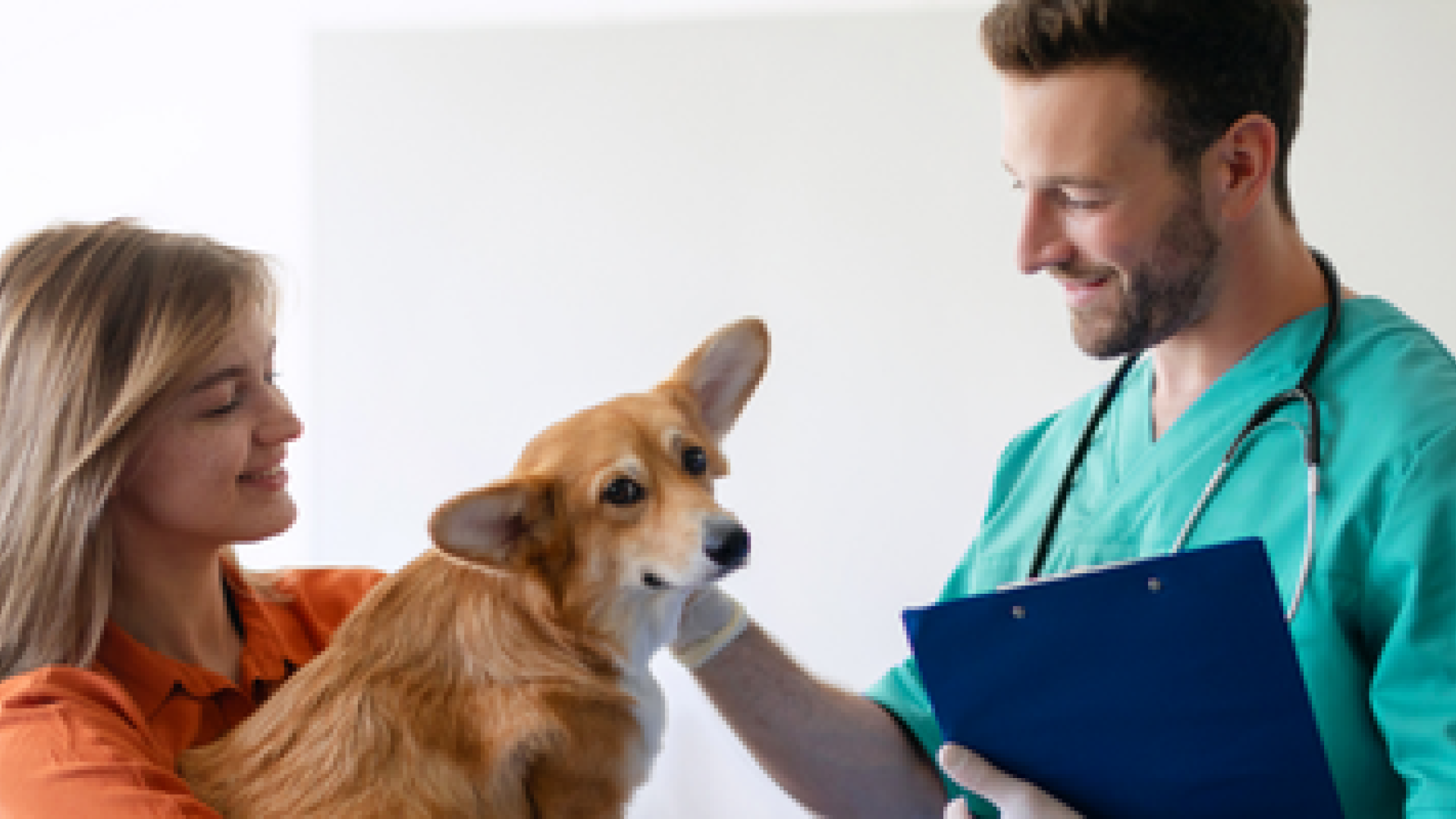 Del conflicto a la confianza: habilidades esenciales en la atención veterinaria, para generar confianza y evitar el conflicto