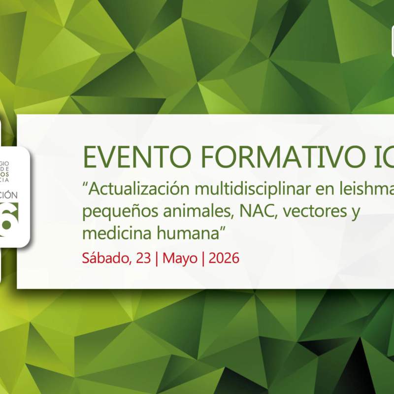 Actualización multidisciplinar en leishmaniosis: pequeños animales, NAC, vectores y medicina humana