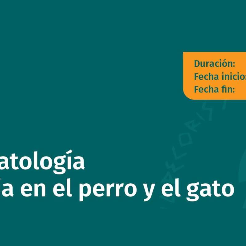 Dermatología. Alergia en el perro y el gato