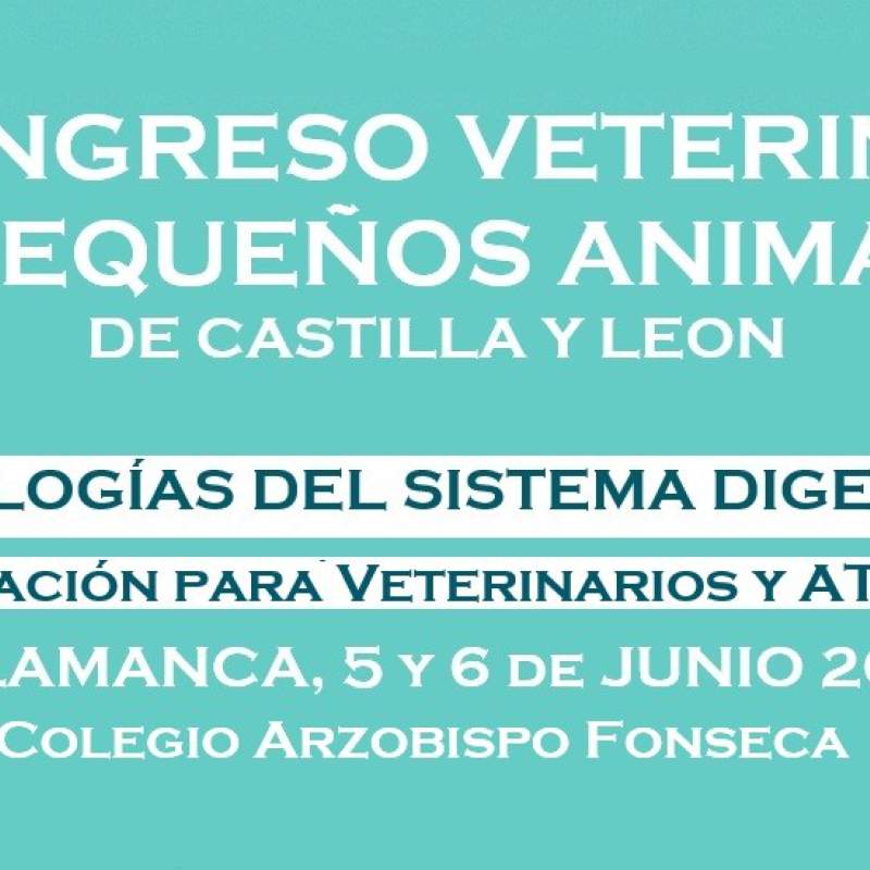 IV CONGRESO VETERINARIO DE PEQUEÑOS ANIMALES
