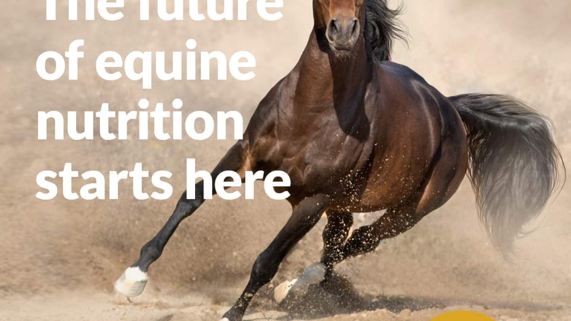 Congreso de Nutrición Equina - Lisboa