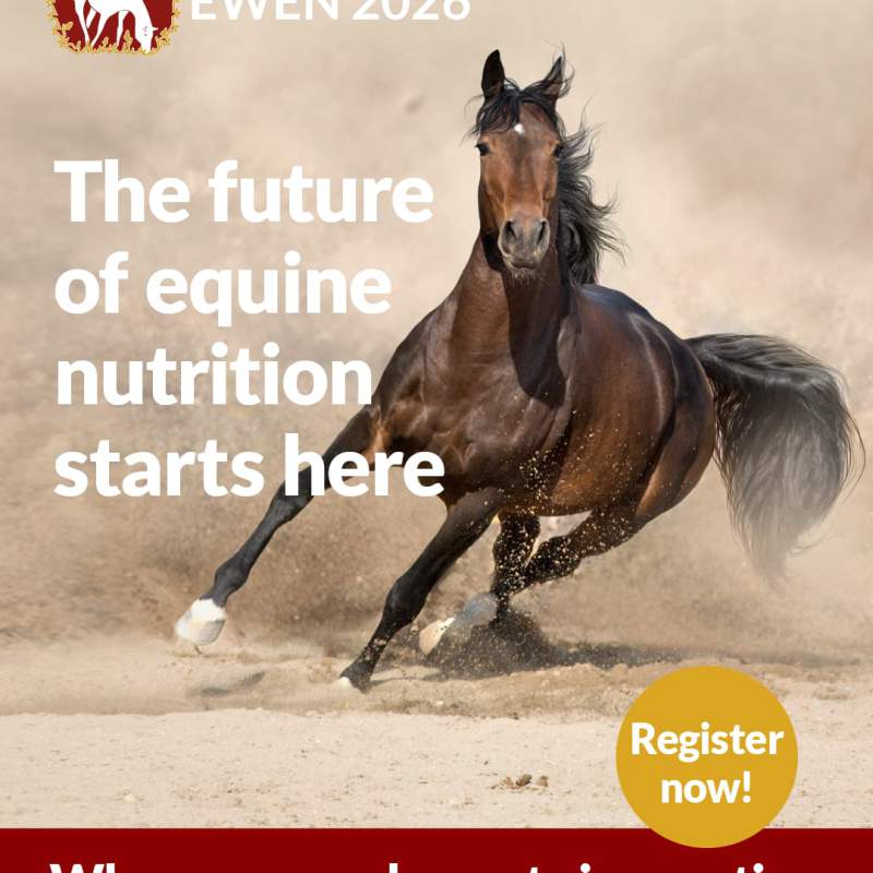 Congrés de Nutrició Equina - Lisboa