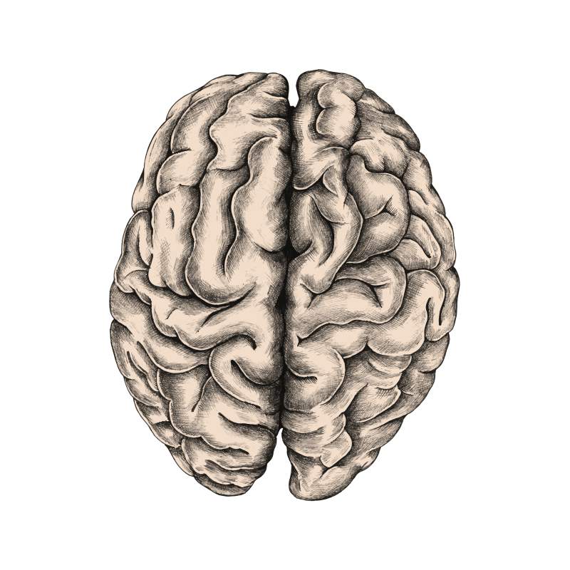 Microcredencial en neuropatología aplicada a la clínica veterinaria: de la exploración al diagnóstico definitivo
