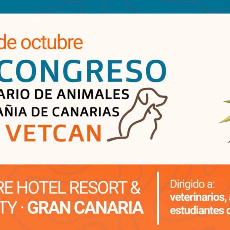 VIII Congrés Veterinari d'Animals de Companyia de Canàries 2026