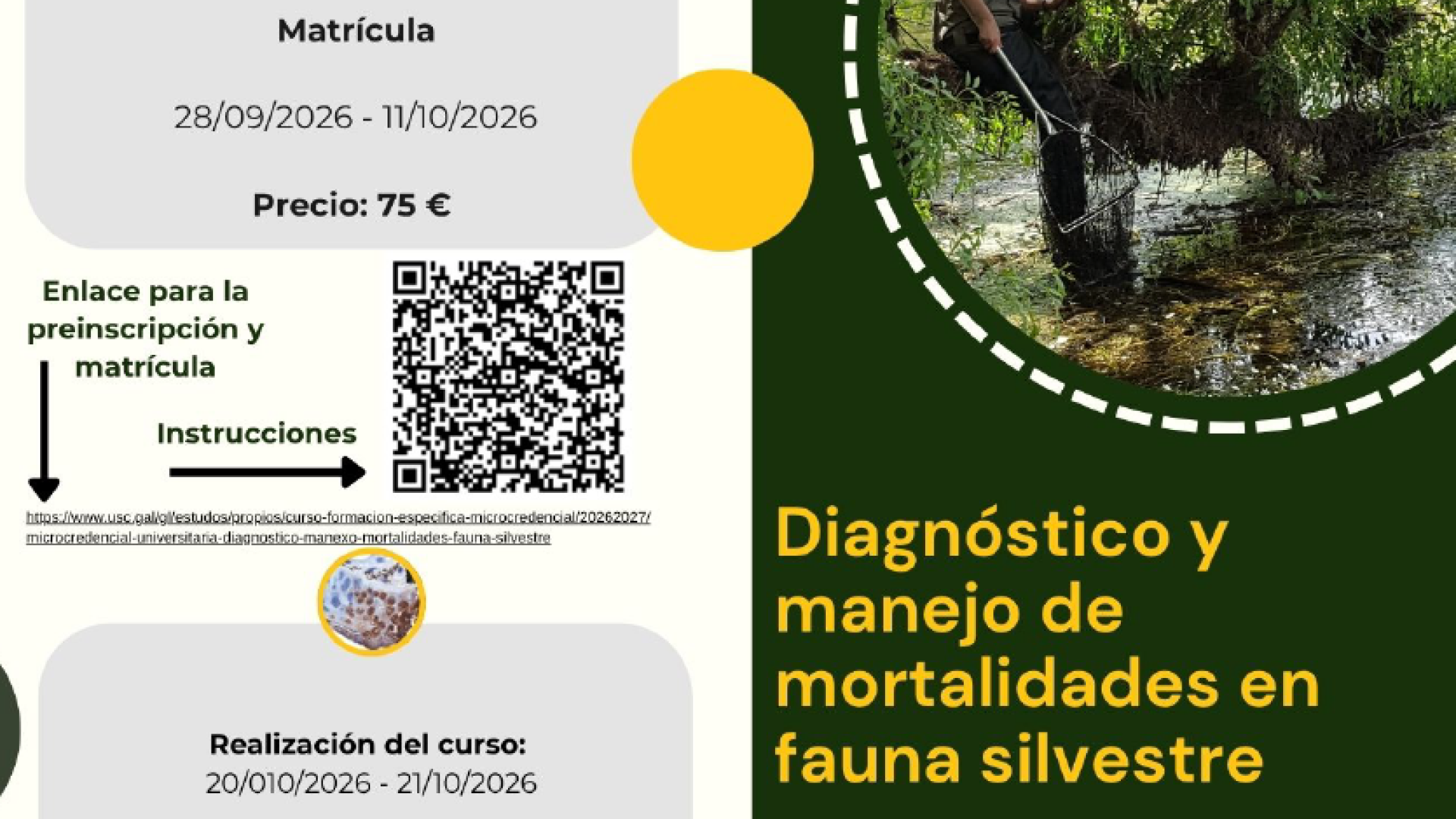 Diagnóstico y manejo de mortalidades en fauna silvestre