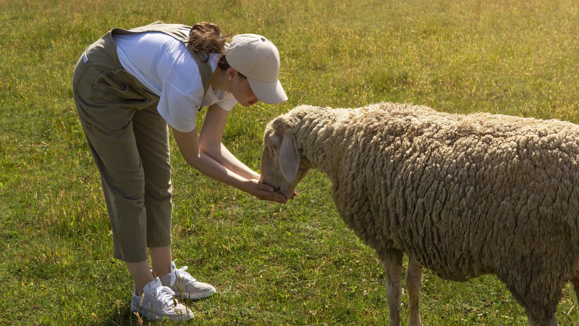 WEBSEMINAR: "Certificación acreditada BAIE Bienestar Animal INTEROVIC España Bienestar en ovino y caprino."
