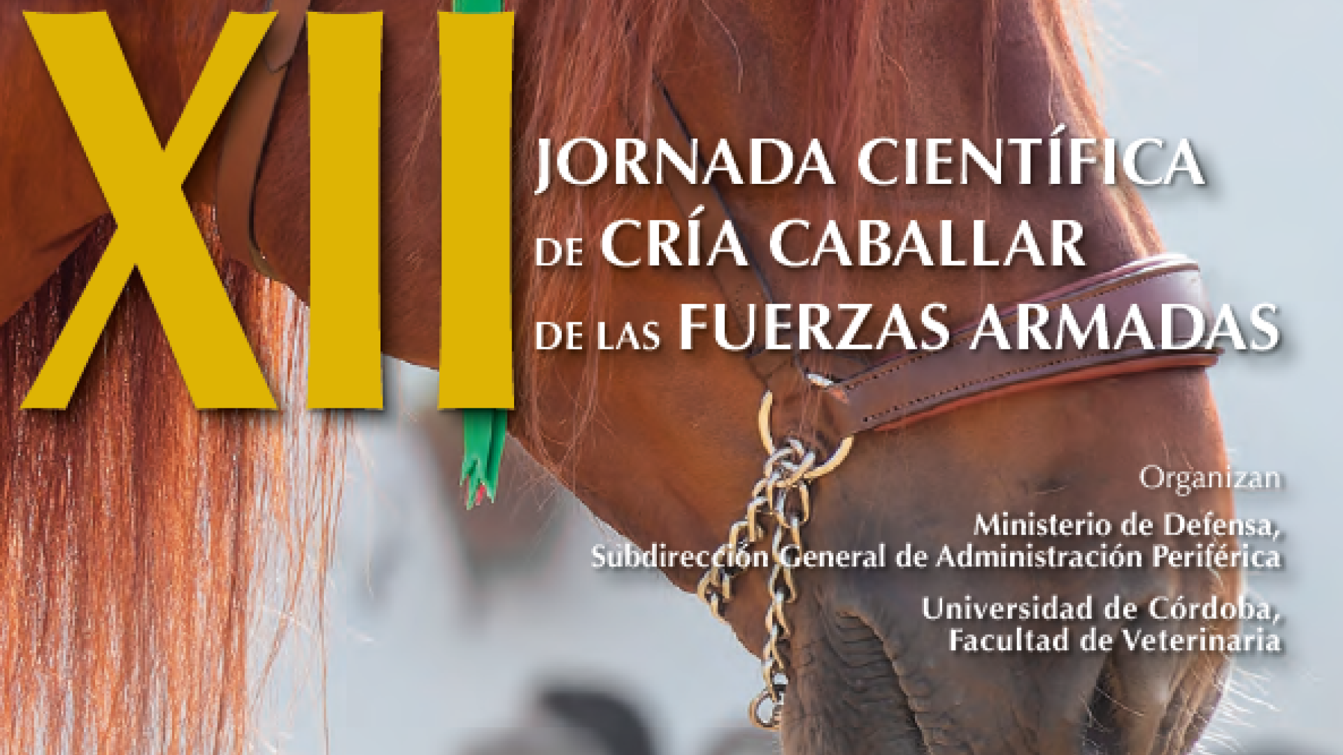 XII Jornadas Científicas de Cría Caballar