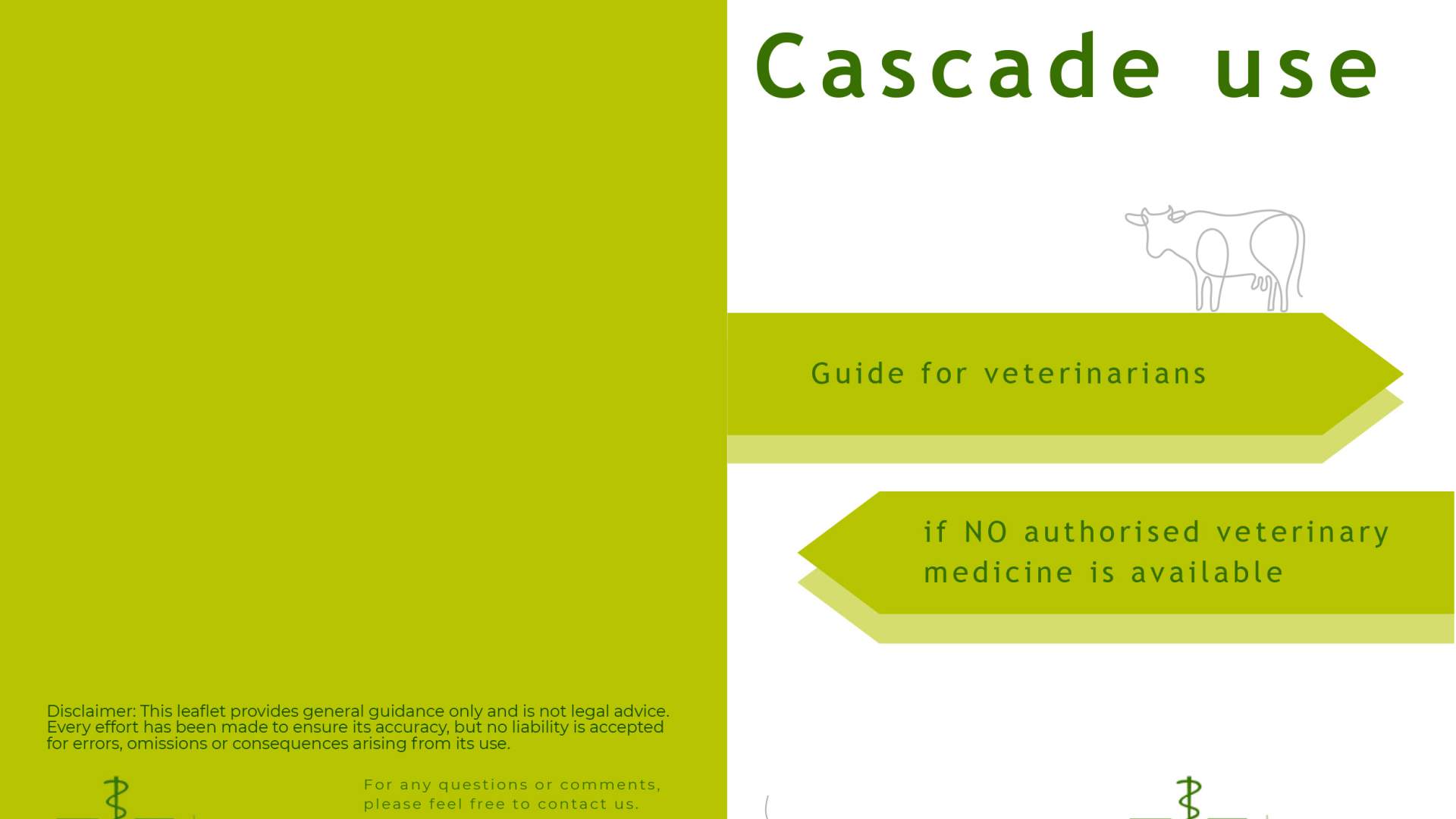 Nueva guía europea para facilitar la aplicación de la prescripción en cascada