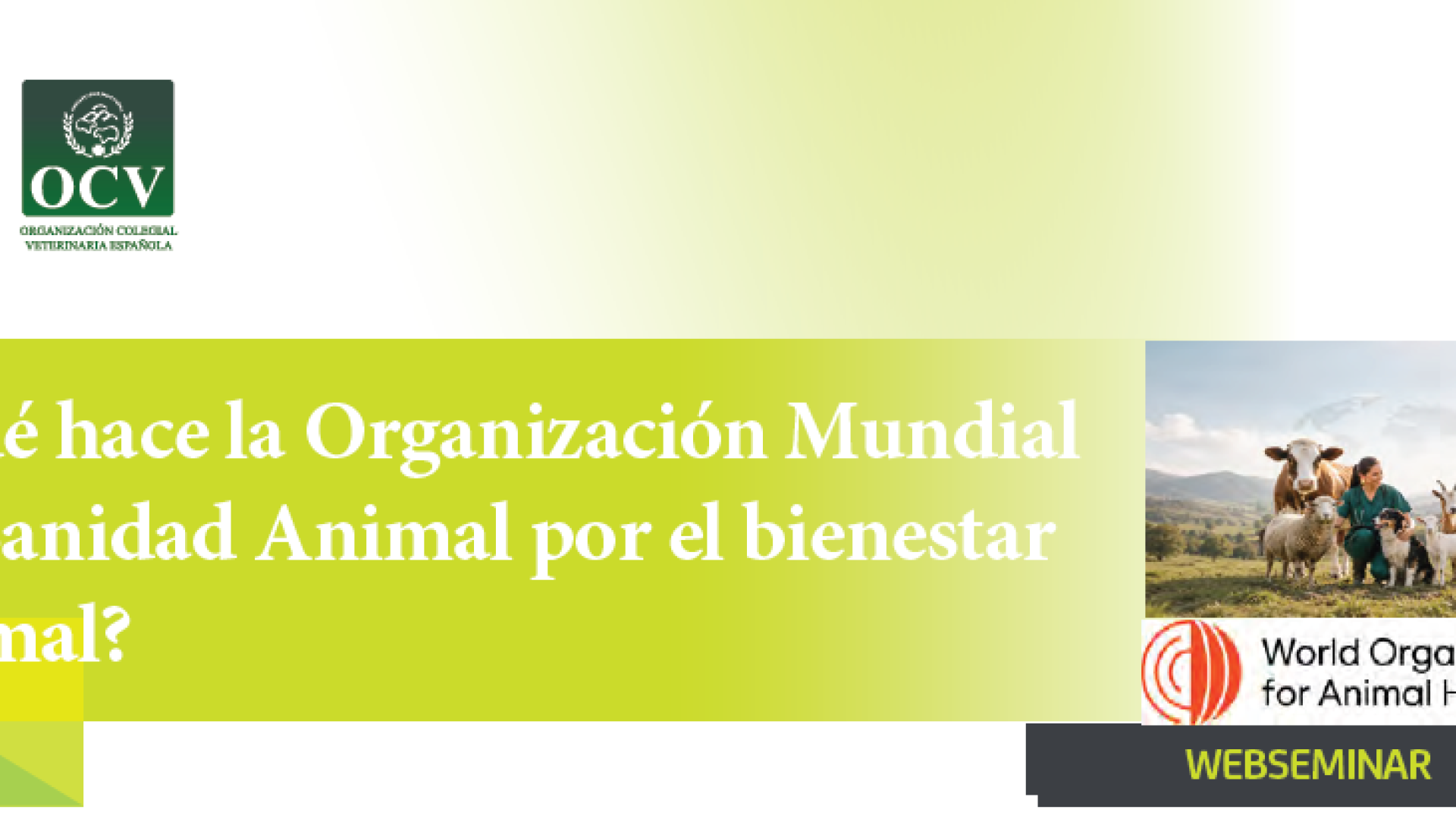 ¿Qué hace la Organización Mundial de Sanidad Animal por el bienestar animal?