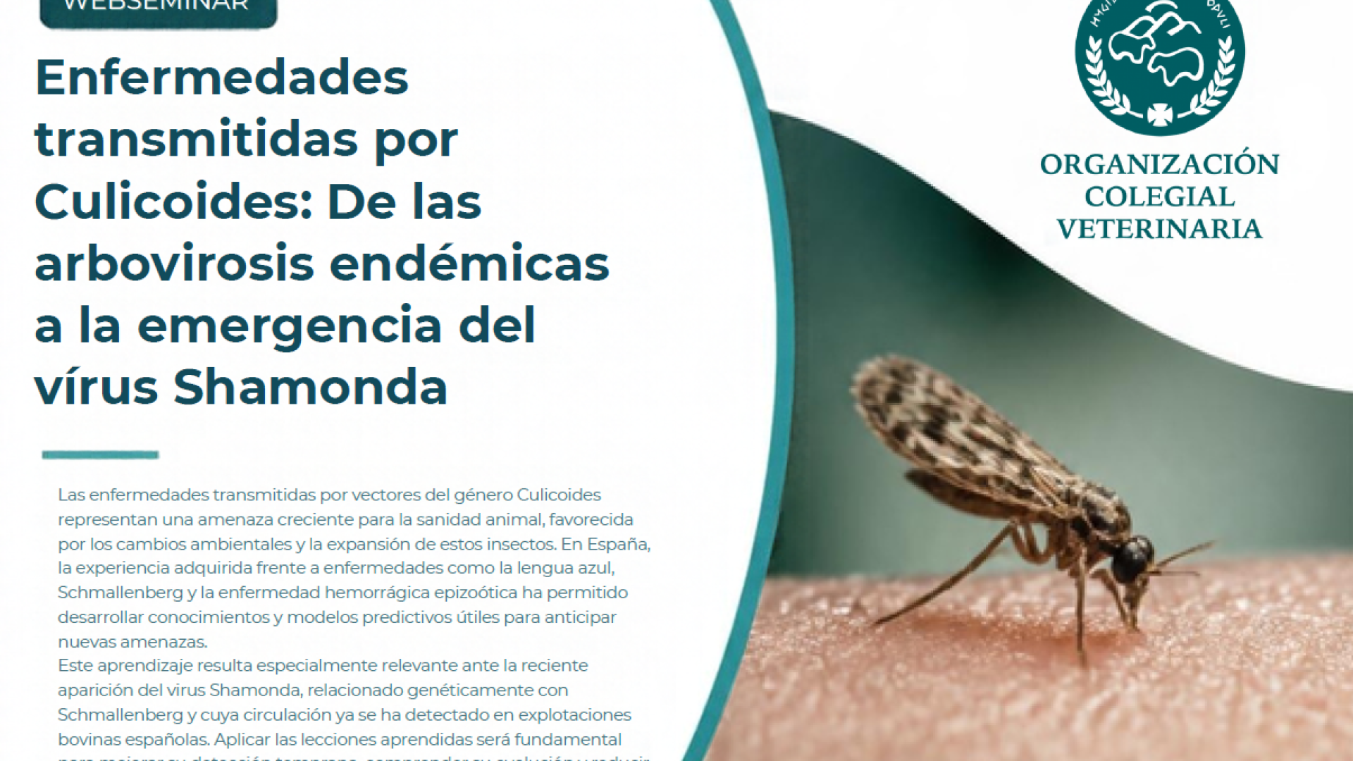 Enfermedades transmitidas por Culicoides: De las arbovirosis endémicas a la emergencia del virus Shamonda