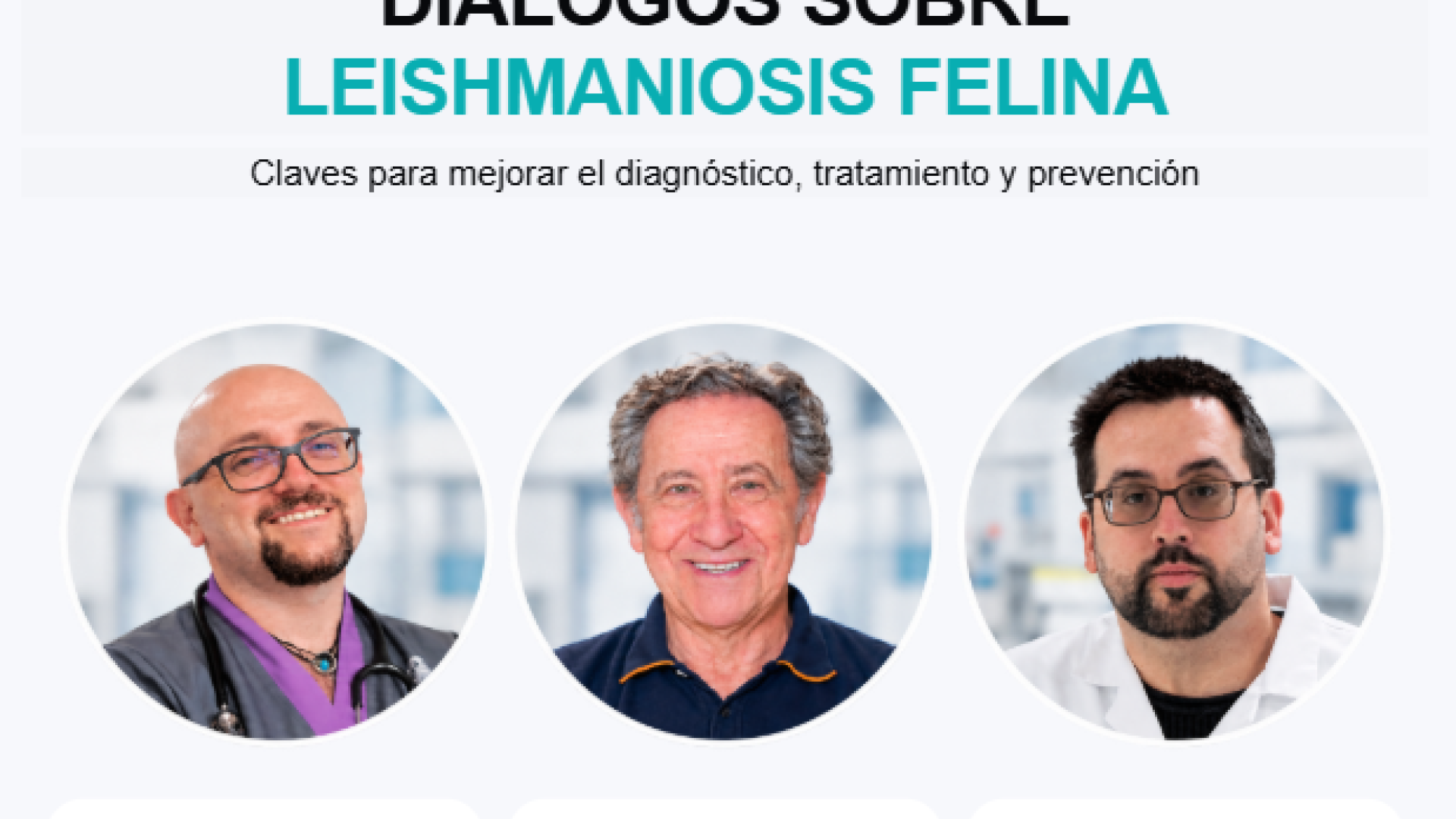 Diálogos sobre leishmaniosis felina