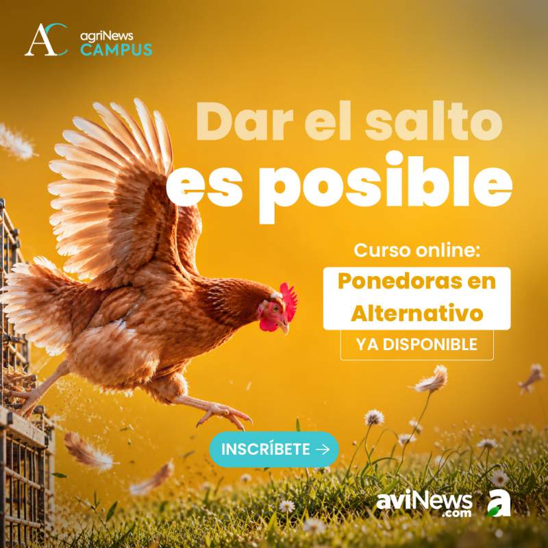 Manejo de ponedoras en sistemas alternativos