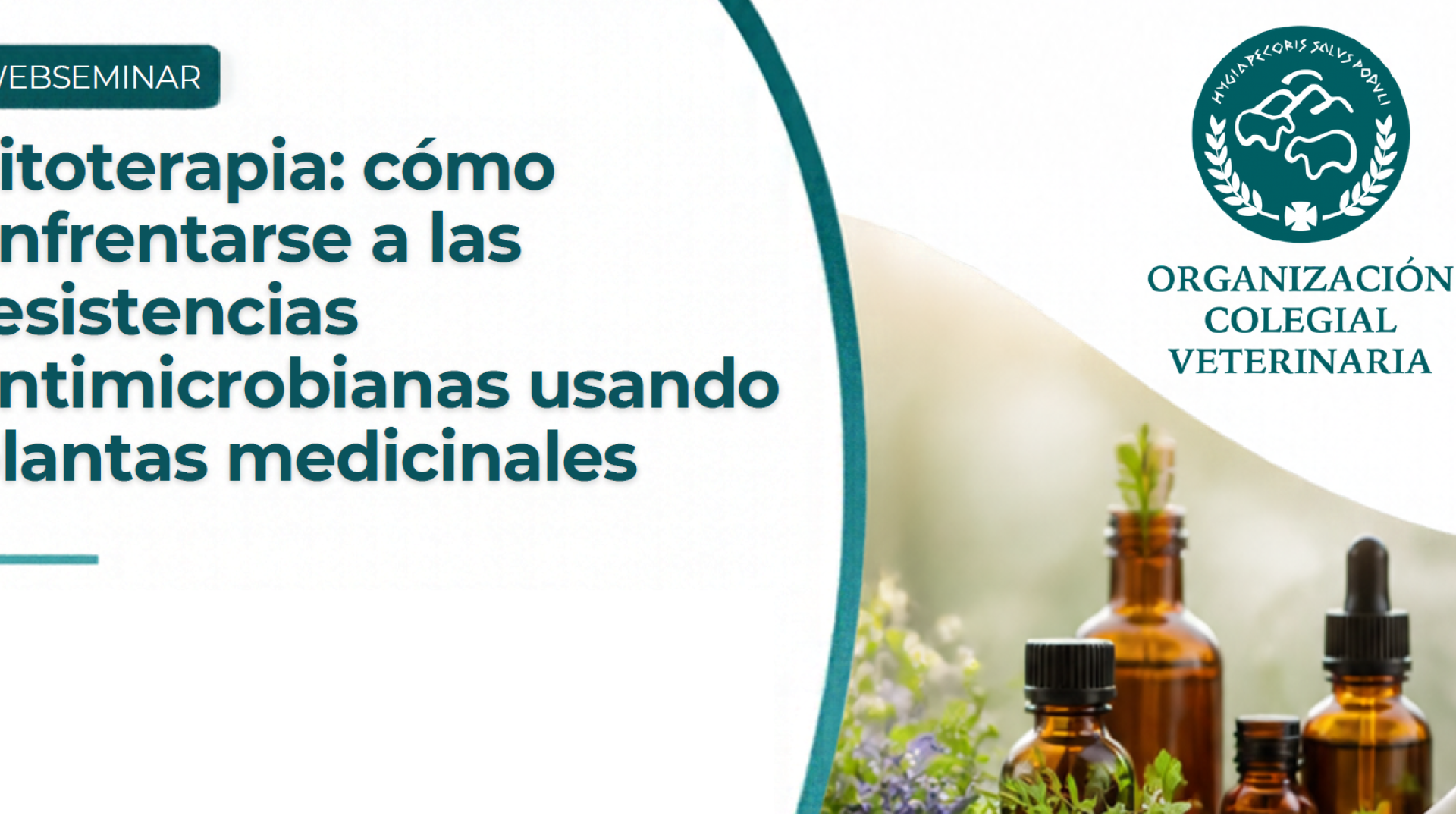 Fitoteràpia: com enfrontar-se a les resistències antimicrobianes usant plantes medicinals