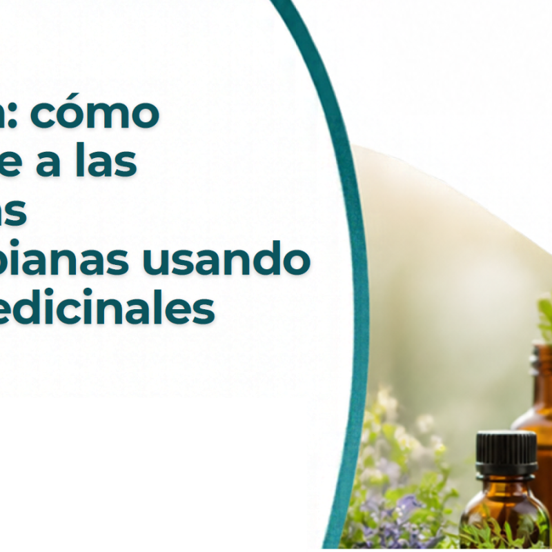 Fitoterapia: cómo enfrentarse a las resistencias antimicrobianas usando plantas medicinales