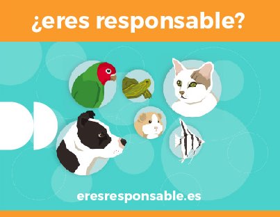 eresresponsable.es